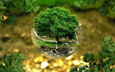 BIODIVERSITÉ