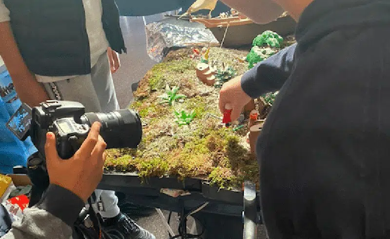 STOP MOTION