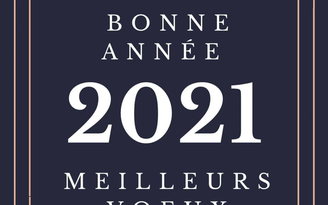 Activités-Educatives vous souhaite une très belle année 2021